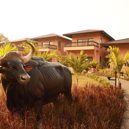The Pench International Khawāsa Exterior foto